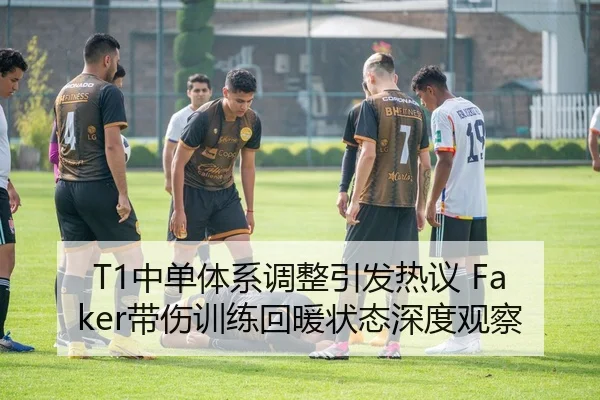 T1中单体系调整引发热议 Faker带伤训练回暖状态深度观察